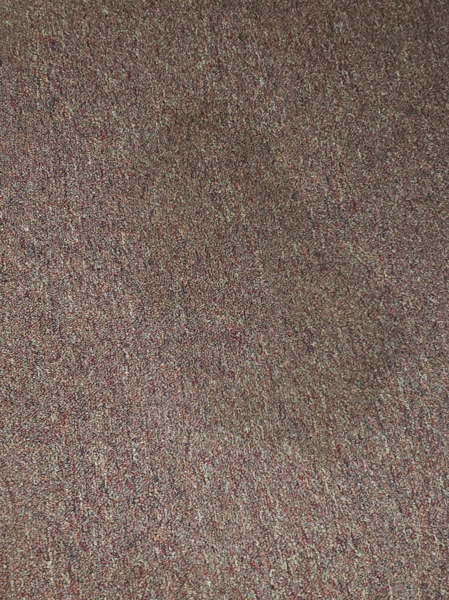 Carpet care / Cuidado de alfombras