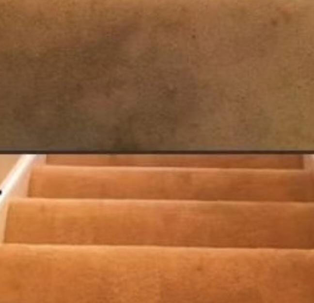 Stair carpet cleaning / Limpieza de alfombra en escaleras