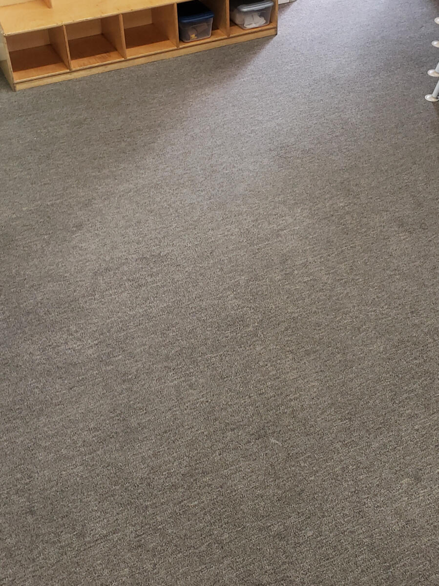 Room carpet cleaning / Limpieza de alfombra en habitaciones