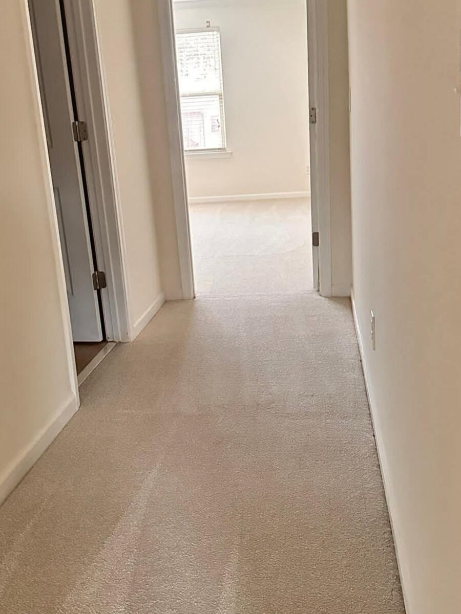 Carpet cleaning results / Resultados en alfombras