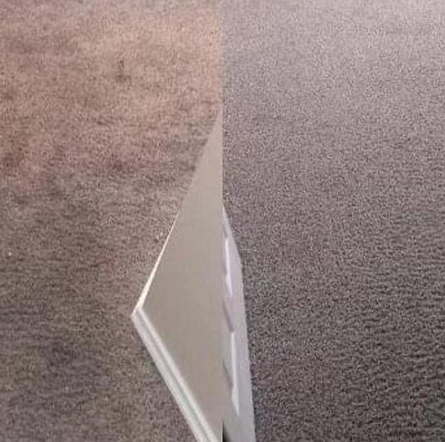 Carpet cleaning — before & after / Antes y después